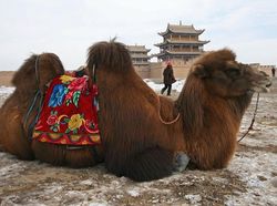 Kumpulan Pengetahuan Sains yang Ternyata Terbukti Salah