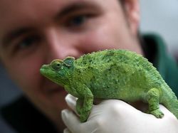 Kumpulan Pengetahuan Sains yang Ternyata Terbukti Salah