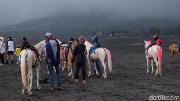 Kunjungan Wisatawan ke Gunung Bromo Menurun saat pergantian tahun 2025