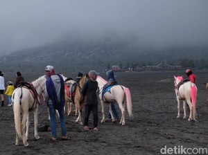 TNBTS Buka Kuota Tambahan Kunjungan Wisatawan ke Gunung Bromo