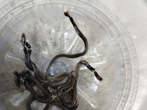 Bikin Merinding! 10 Anak Kobra Ditemukan di Gudang Rumah Warga Sragen