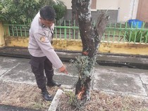 Bukan Korban Klitih, Pemotor Boncengan di Bantul Tabrak Pohon gegara Mabuk