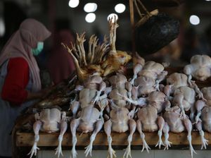 Harga Ayam Potong di Musi Rawas Naik, Pedagang Ngaku Sepi Pembeli