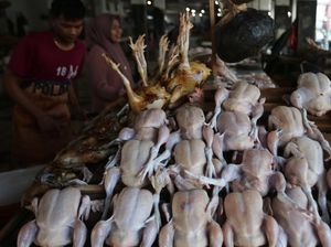 Sumsel Alami Deflasi 0,04 Persen di Agustus 2025, Ini Penyebabnya