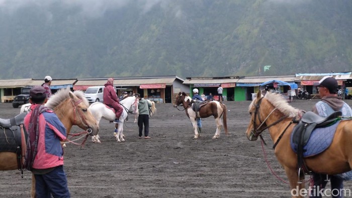 Tahun 2026, Cek Jadwal Penutupan Wisata Bromo
