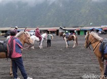 Tahun 2026, Cek Jadwal Penutupan Wisata Bromo