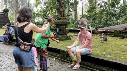 Wisatawan foto bersama monyet di Objek Wisata Sangeh, Badung, Rabu (1/1/2024). (Agus Eka/detikBali)