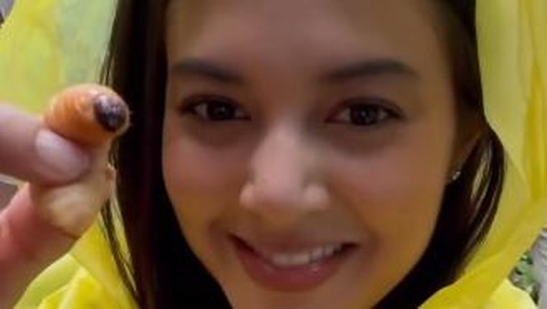 Petualangan Aurelie Moeremans Panen Kopi hingga Makan Ulat Sagu