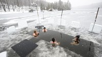 Mereka mulai melepaskan pakaian dan menceburkan diri ke bongkahan kolam di sudut danau yang membeku. 