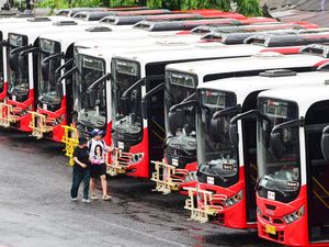 Hore! Rencana Bus Transmetro Dewata Mengaspal Lagi Makin Terang