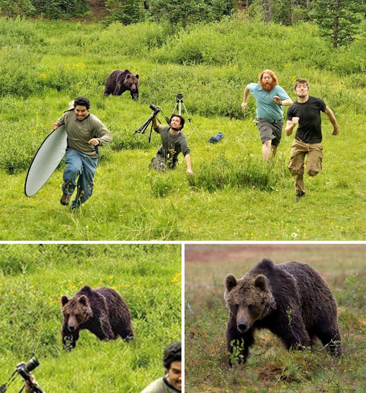 Deretan Foto Viral Ternayata Palsu