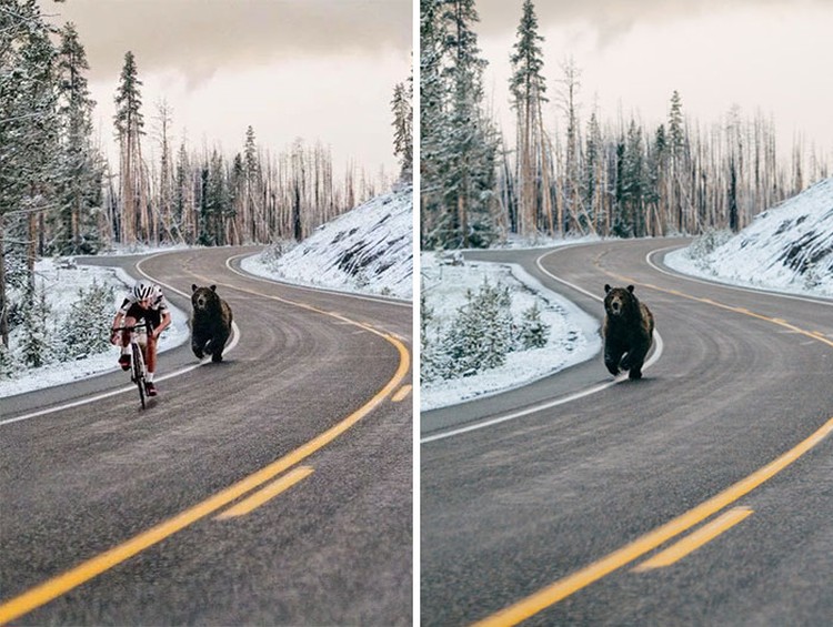 Deretan Foto Viral Ternayata Palsu