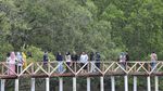 Geliat Wisata Hutan Bakau di Jambi