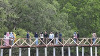 Obyek wisata alam tersebut terletak di pesisir barat Provinsi Jambi.  