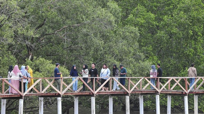 Geliat Wisata Hutan Bakau di Jambi Foto udara wisatawan berkunjung ke kawasan wisata hutan bakau Pangkal Babu di Tanjung Jabung Barat, Jambi, Rabu (1/1/2025). Obyek wisata alam di pesisir barat Provinsi Jambi itu telah dikunjungi 4.000 lebih wisatawan selama masa libur Natal dan Tahun Baru 2025. ANTARA FOTO/Wahdi Septiawan/Spt.