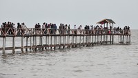 Kawasan wisata hutan bakau Pangkal Babu telah dikunjungi 4.000 lebih wisatawan selama masa libur Natal dan Tahun Baru 2025.