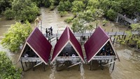 Foto udara wisatawan berkunjung ke kawasan wisata hutan bakau Pangkal Babu di Tanjung Jabung Barat, Jambi, Rabu (1/1/2025).