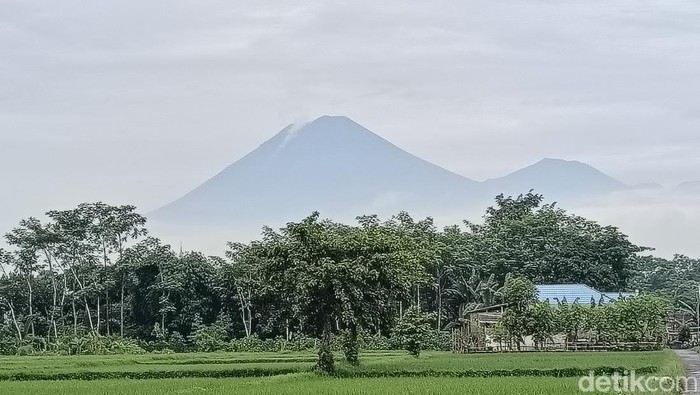 gunung semeru erupsi sejauh 1,2 km