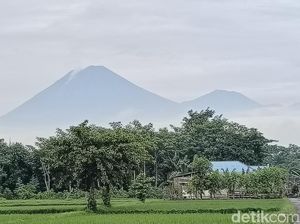 9 Lokasi Pendakian di Jawa Timur, Cocok untuk Anak Gunung