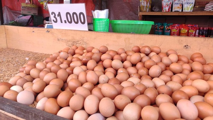 Harga telur mahal