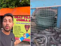 Influencer India Ini Kaget Ada Warung Sate Ular Kobra di Indonesia