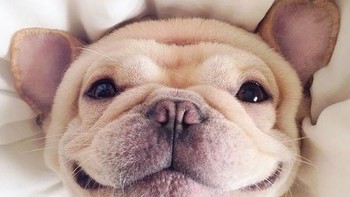 Habis tidur nyenyak jadi happy deh. Foto: Boredpanda