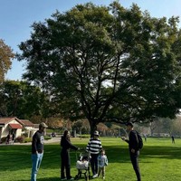 Sebagai suami siaga, Indra Priawan juga terlihat terus mendampingi istrinya untuk memastikan semuanya baik-baik saja. Keduanya juga kompak mengenakan busana serba hitam. Foto: Instagram/@yorafebrina