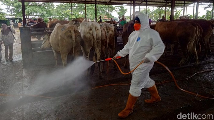 Petugas menyemprot disinfektan di Pasar Hewan Margorejo Pati, Kamis (2/12/2024).