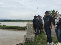 Sungai di Kulon Progo Meluap, 360 Hektare Sawah Terendam