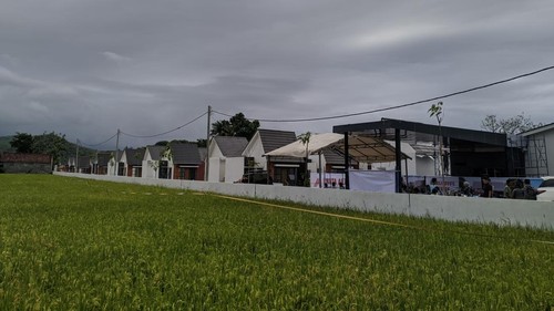 Suasana perumahan di Kecamatan Labuapi, Lombok Barat, NTB, yang dibangun di lahan sawah. (Ahmad Viqi/detikBali)