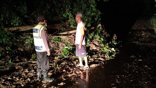 Tanah longsor di wilayah Kecamatan Talibura, Kabupaten Sikka, Nusa Tenggara Timur (NTT), Rabu (1/1/2025). (Foto: Dok. Polres Sikka)