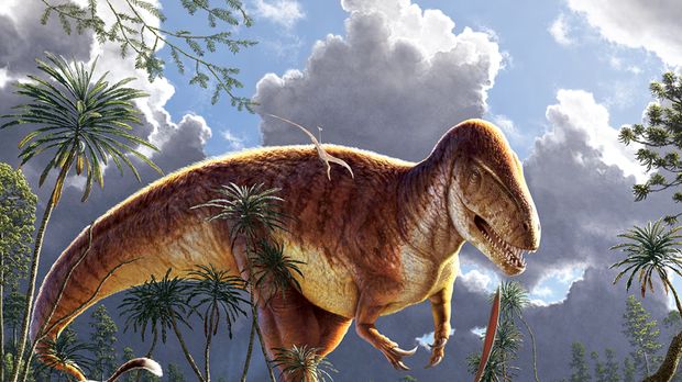 Dinosaurus Megalosaurus. (Dok. oumnh.ox)