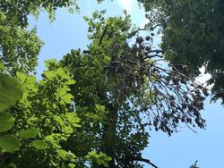 Foto di Dunia Nyata Tapi Hasilnya Seperti dari Film dan Video Game