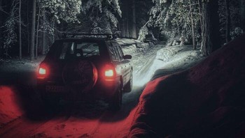 Fotonya diambil saat berkendara di hutan pada musim dingin. Kira-kira seperti di film apa ya? Foto: (Bored Panda).