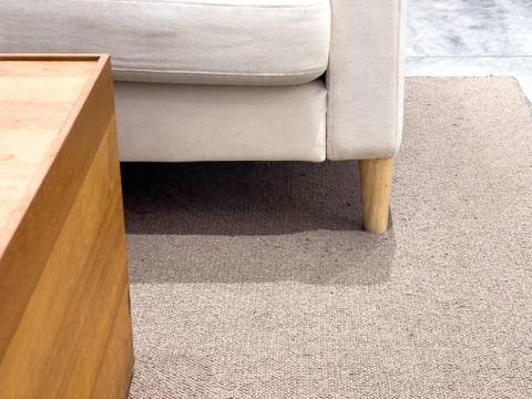 Sofa and wooden coffee table on carpet