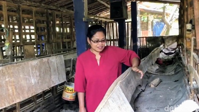 Kandang kambing milik Herniatun
