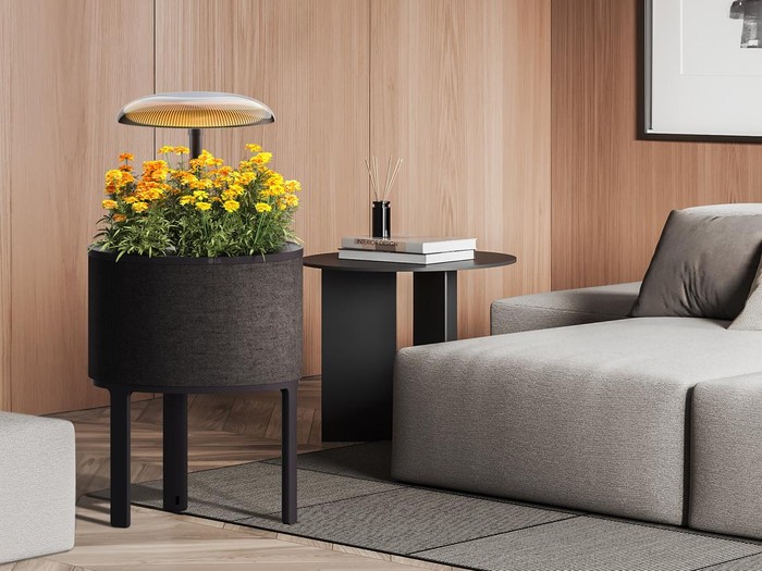 LG Rilis Perangkat Berkebun Dalam Rumah