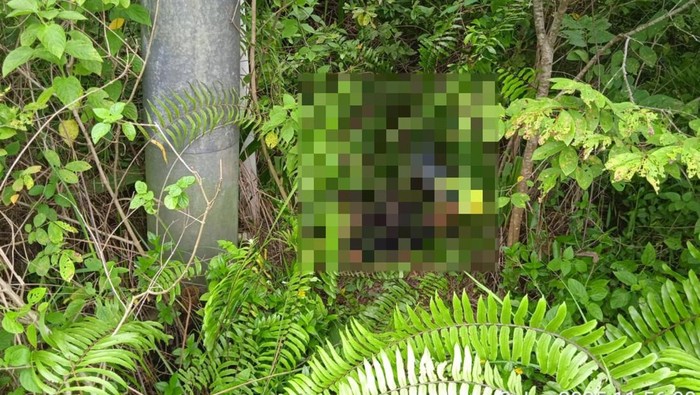 Mayat lekaki di Jambi ditemukan di bawah gardu listrik
