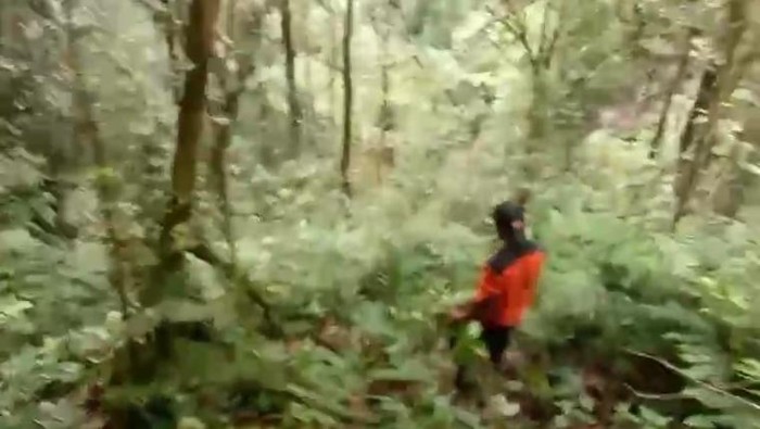 Pencarian pendaki hilang di gunung Talang, Solok, Sumbar. (Istimewa)