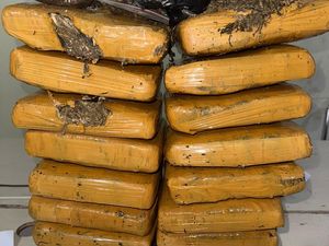 Ibnu yang Ditangkap di Pangkalpinang Bawa 14 Kg Ganja Ternyata Bandar