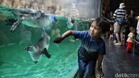 Tidak hanya orang tua dan remaja, Taman Impian Jaya Ancol juga ramai dikunjungi anak-anak selama libur Nataru.