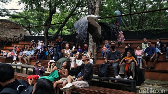 Beberapa hari setelah tahun baru 2025, Taman Impian Jaya Ancol masih ramai dikunjungi warga. Ini potretnya