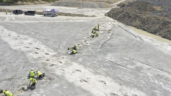 Ratusan Jejak Kaki Dinosaurus Ditemukan di Inggris