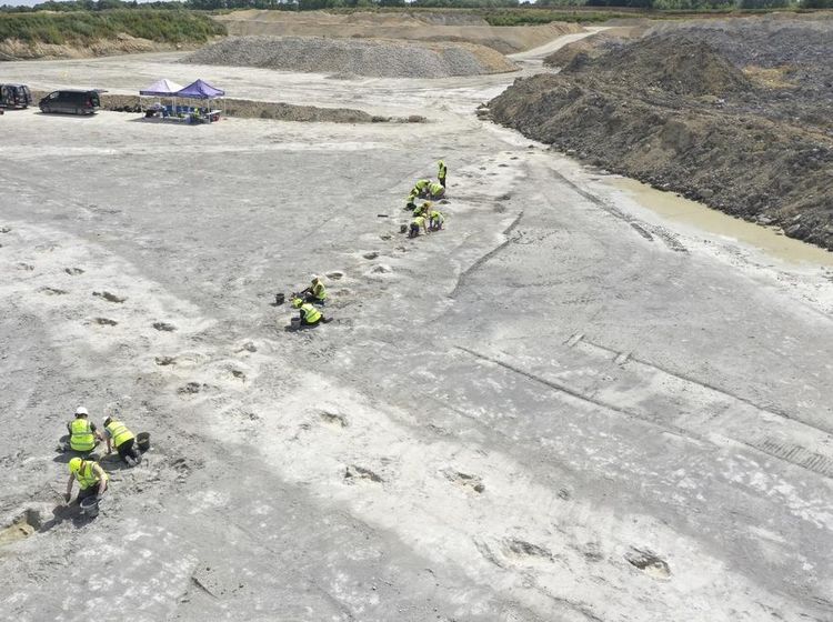 Ratusan Jejak Kaki Dinosaurus Ditemukan di Inggris