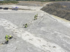 Ratusan Jejak Kaki Dinosaurus Ditemukan di Jalan Raya Dinosaurus Inggris