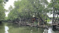 Sunge Jingkem menjadi pilihan banyak orang yang ingin menikmati suasana alam terbuka. Daya tariknya tentu saja wisata sungai dengan hutan mangrove yang mengelilinginya. (Asti Azhari/detikTravel)