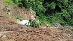 Jalur Lumajang-Malang Lumpuh, Akibat Tebing 20 Meter Longsor