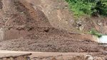 Jalur Lumajang-Malang Lumpuh, Akibat Tebing 20 Meter Longsor