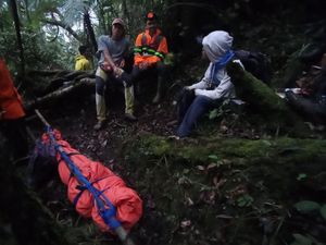 Pendaki Asal Bengkulu Keluhkan Sakit Sebelum Ditemukan Tewas di Gunung Dempo