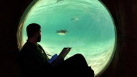 Penghitungan setiap mamalia, burung, reptil, ikan, dan invertebrata biasanya membutuhkan waktu sekitar satu minggu. 